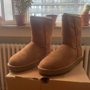 UGG Classic Short Boots Box in Tan